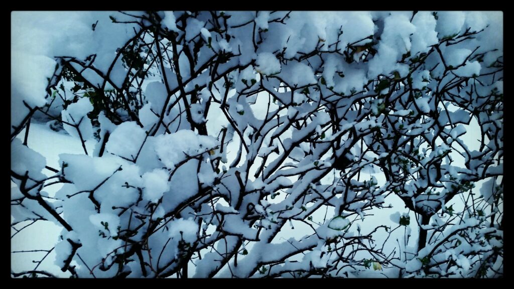 IMG_20180207_171659_240