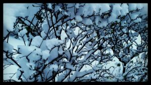 IMG_20180207_171659_240